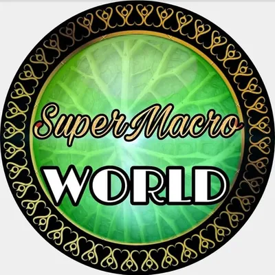 SUPERMACRO_WORLD profile