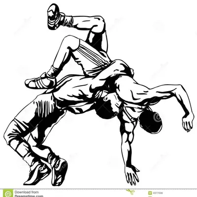 supportkushti profile