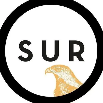 Sur Brand Studio | Branding & Editorial profile