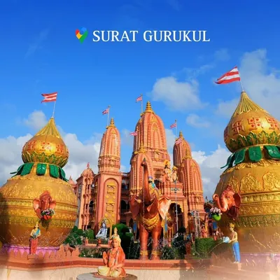 Shree Swaminarayan Gurukul Surat profile