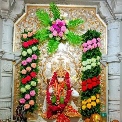 Suresh Solanki profile