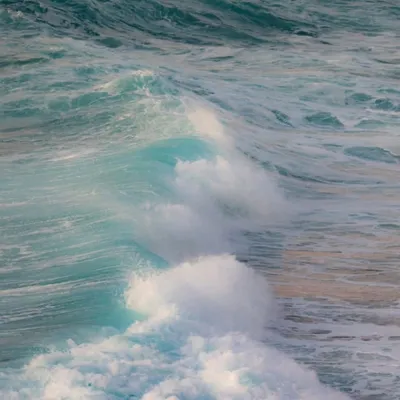 Surf & Protect profile
