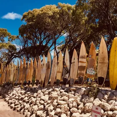 Surferspotter profile