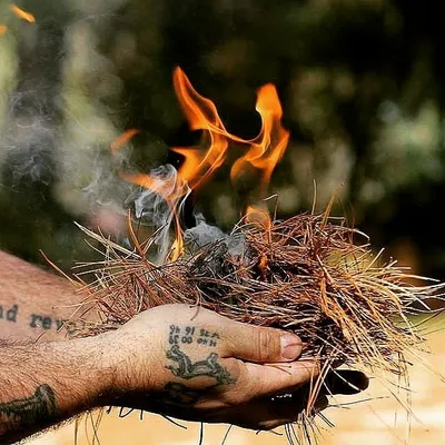 Survival / Camping / Outdoors profile