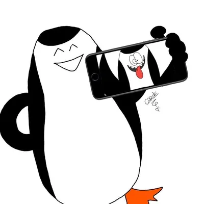 Sushi profile