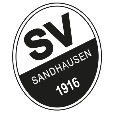 SV Sandhausen 1916 e.V. profile