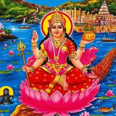 Swami Narmadananda profile