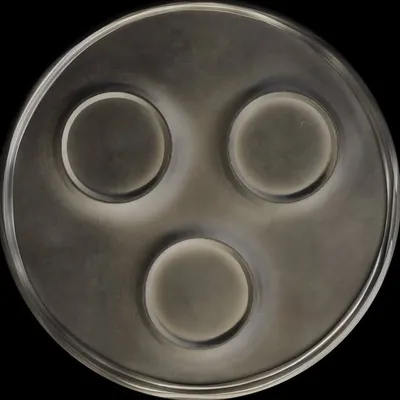 Swedish House Mafia profile