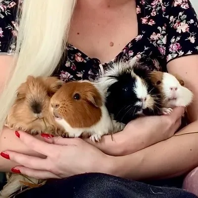 Emma - Swedish Piggy Mafia ๐น๐ธ๐ช profile