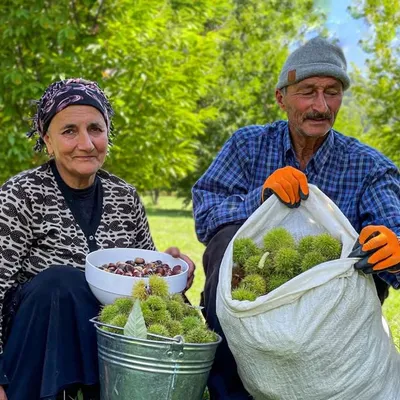 Sweet Village | YouTube Channel 800K+ profile