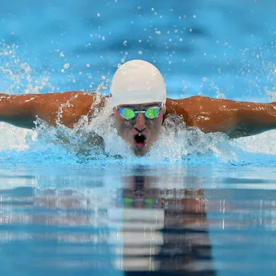 Swimming Addict profile