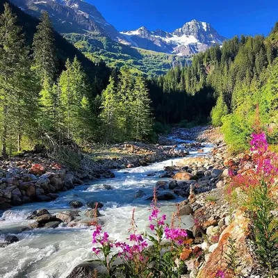 Switzerland lover profile