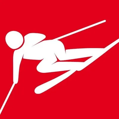 Swiss Ski Team profile