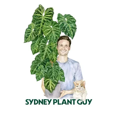 Sydney Plant Guy 🌱 profile