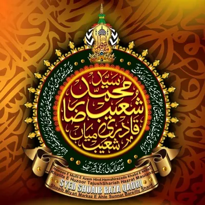 Syed Shoaib RazaQadri official profile
