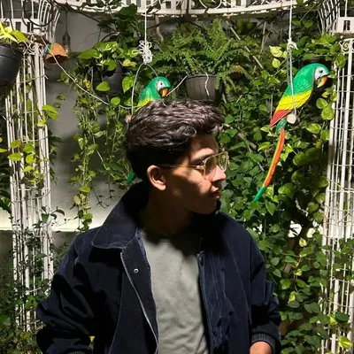 سید✨ profile