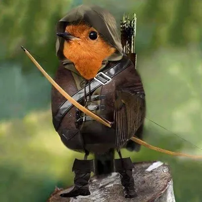 Sylvain Houet profile