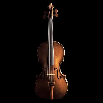Orchestra Memes profile