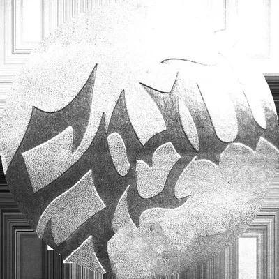 SYNICAL ™️ profile