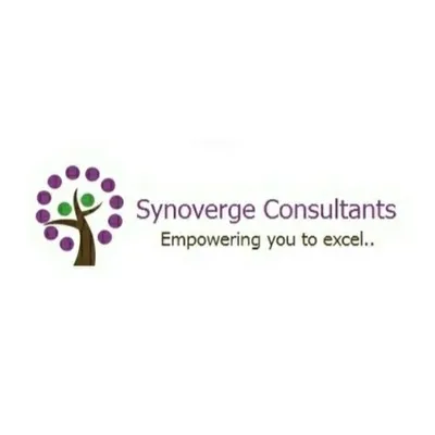 Synoverge Consultants profile