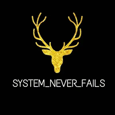 System Never fails profile