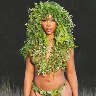 SZA profile