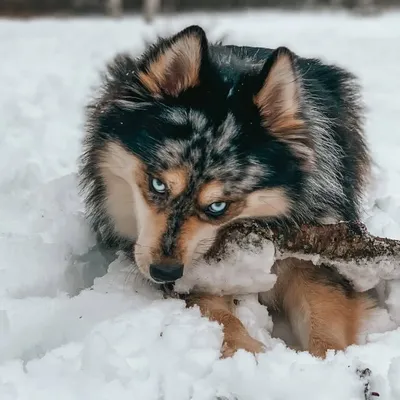 Rex...Short For T.Rex 🦖 profile