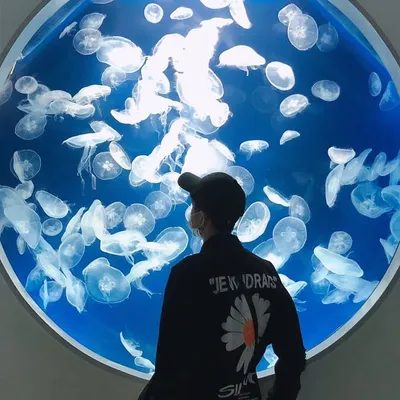 跟這洲洲去旅行🚌|台北|台中|台南|高雄|旅遊美食分享 profile