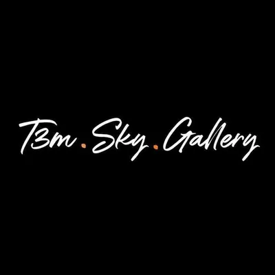 T3M Sky Gallery profile