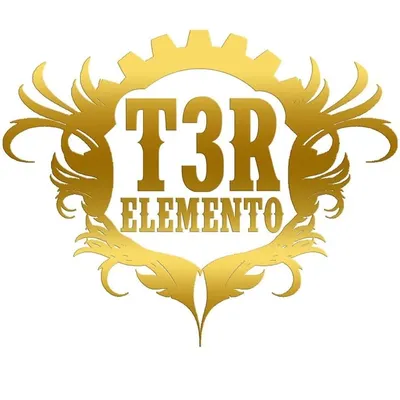T3R Elemento profile