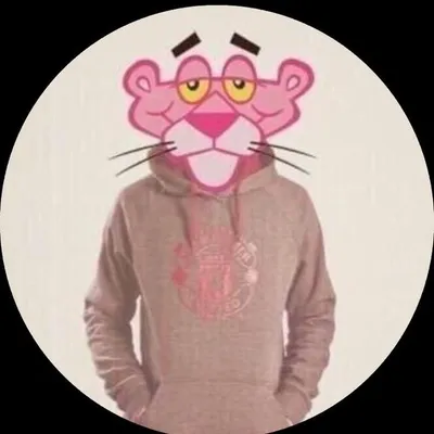 Pink panther مستر الوردي profile