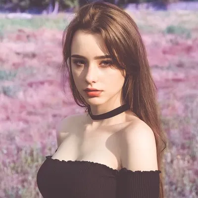 dasha taran profile