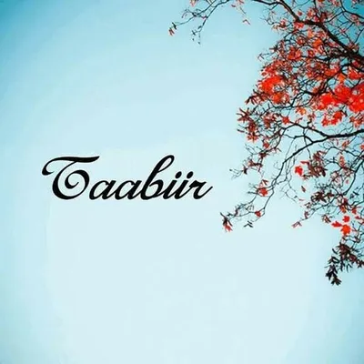 Taabiiiir profile
