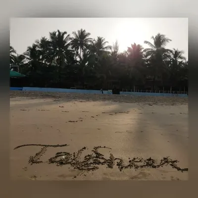 TabSheer profile
