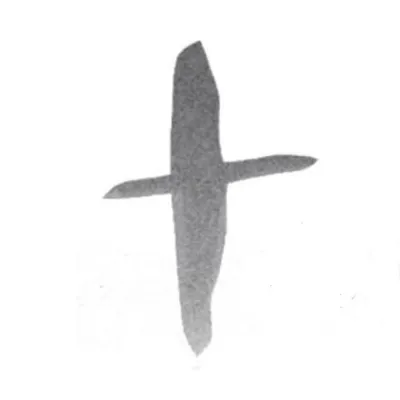 TACOOLA profile