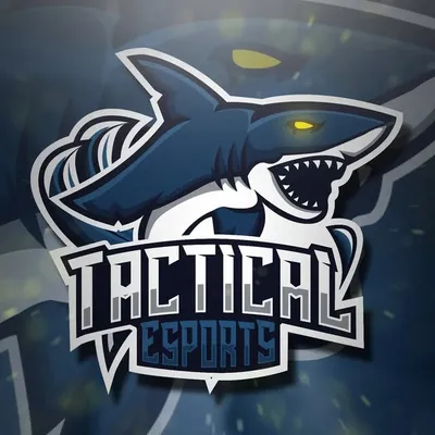 Tactical Esports profile