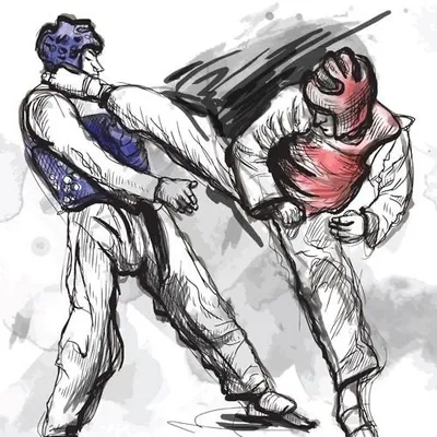 Taekwondo is life profile