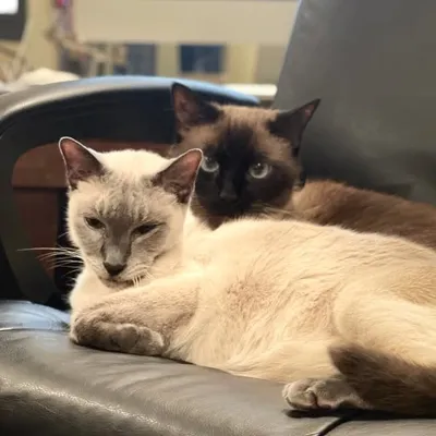 Benny and Booper Smith profile