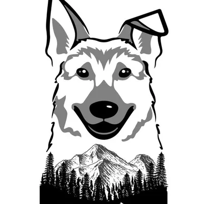 Tails Of Wanderlust profile