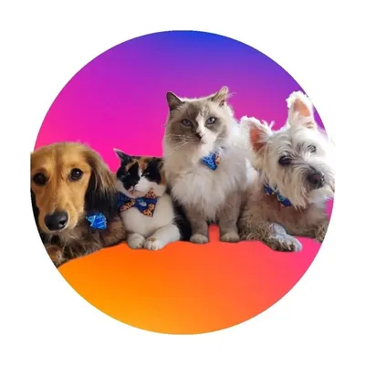 Vet Nurse Roslyn profile