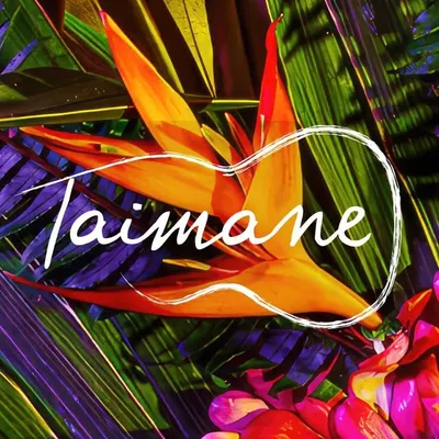 🌺T a i m a n e profile