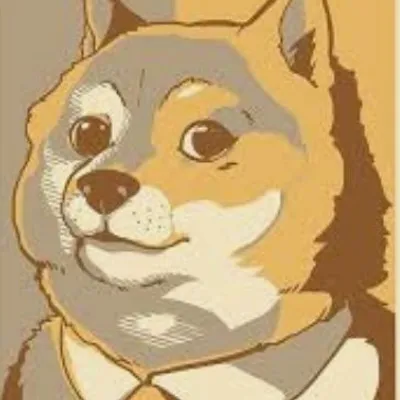 總柴迷因 profile