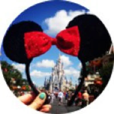 Disney World Memoriesđź‘‘đź’« profile
