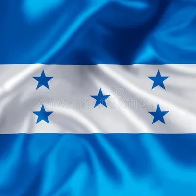 Impulsando el talento catracho🇭🇳 profile
