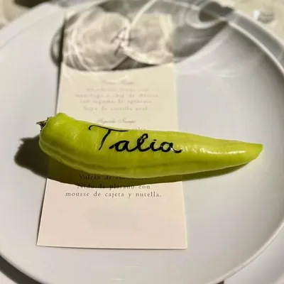 Talia Collis profile