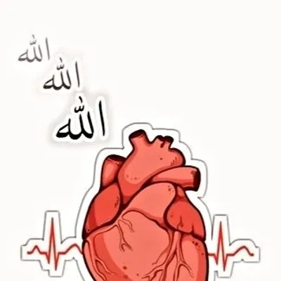 تميم خان profile