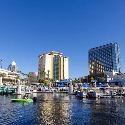 The Tampa Riverwalk profile