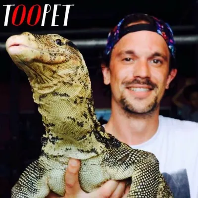 TOOPET profile