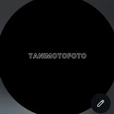 Easten Tanimoto profile