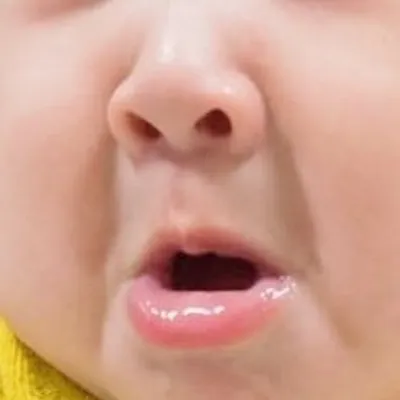 たろとじろと小さいおじさん profile
